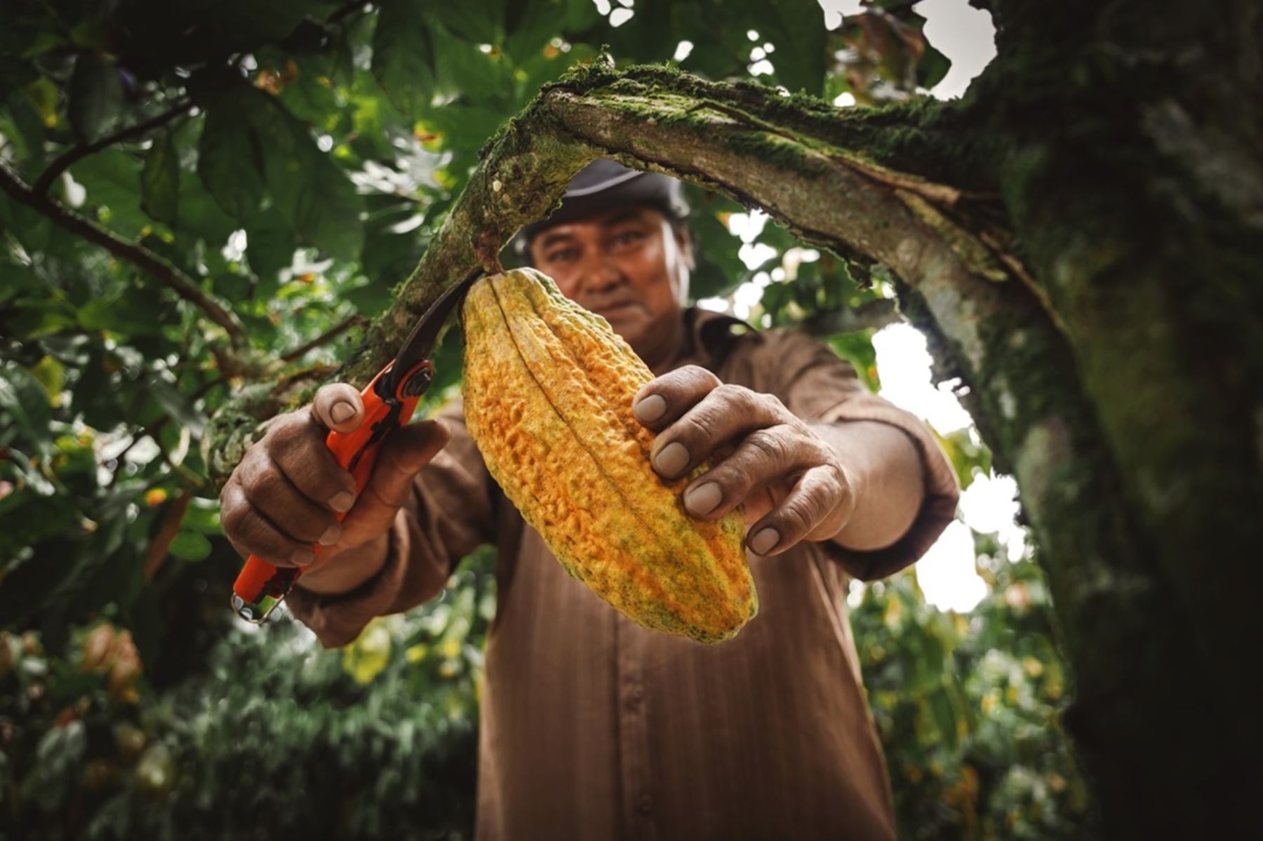 001022359W