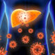 HEPATITIS
