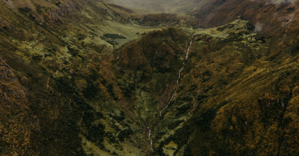 ZOOM TRENDING 2