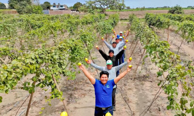 agromercado inversiones