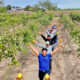 agromercado inversiones