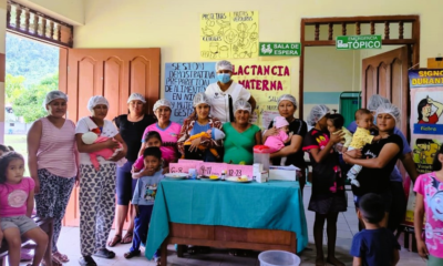 alimentacion hierro