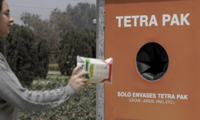 dia reciclaje