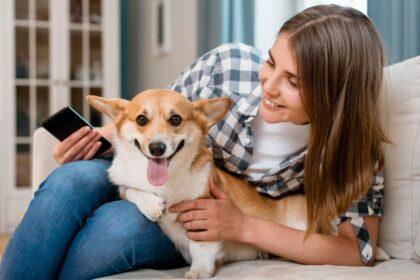 diabetes canina