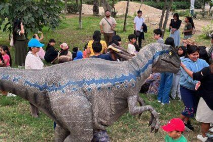 dinoplanet jockey