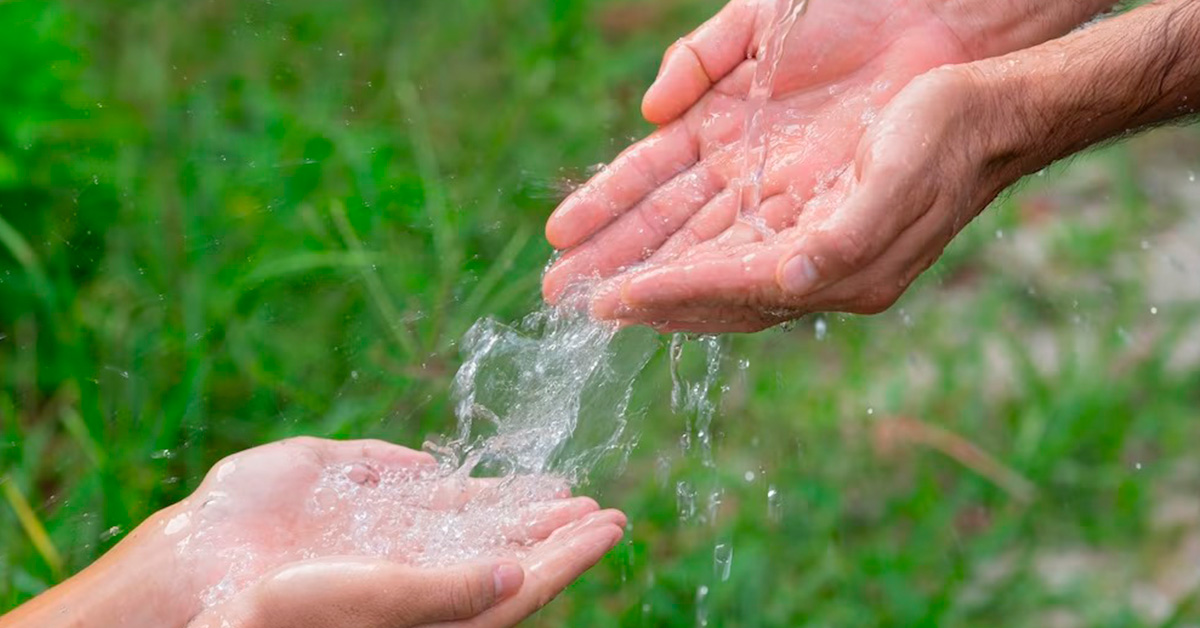 ds agua