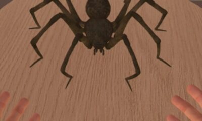 ds aracnofobia
