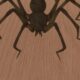 ds aracnofobia