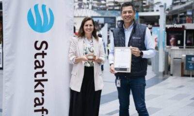 ds arauco
