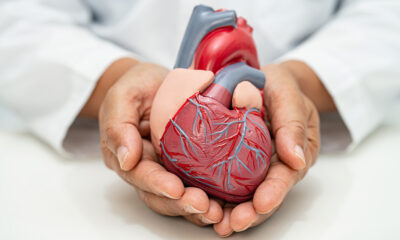 ds cardiovascular