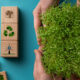 ds ecomarketing