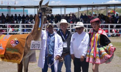 ds expoferia