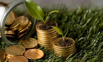 ds finanzasverdes