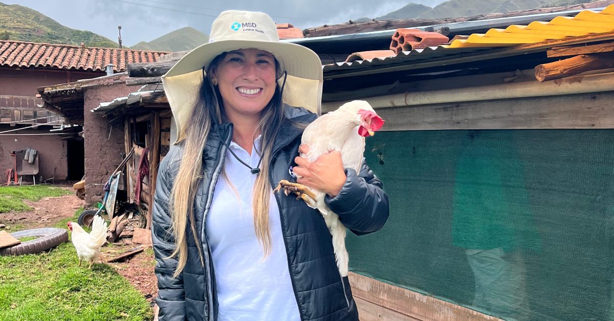 ds gallinas