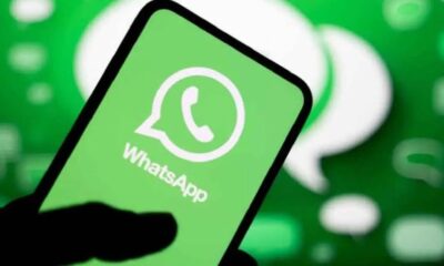 ds guiawhatsapp