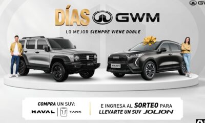 ds gwm