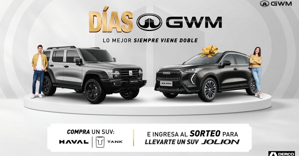 ds gwm