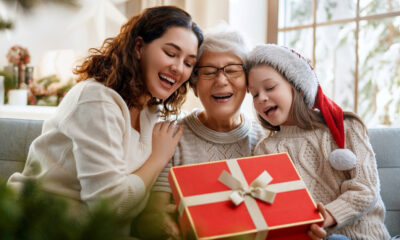 ds navidad 2