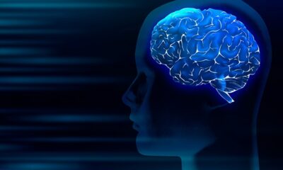 ds neurociencia