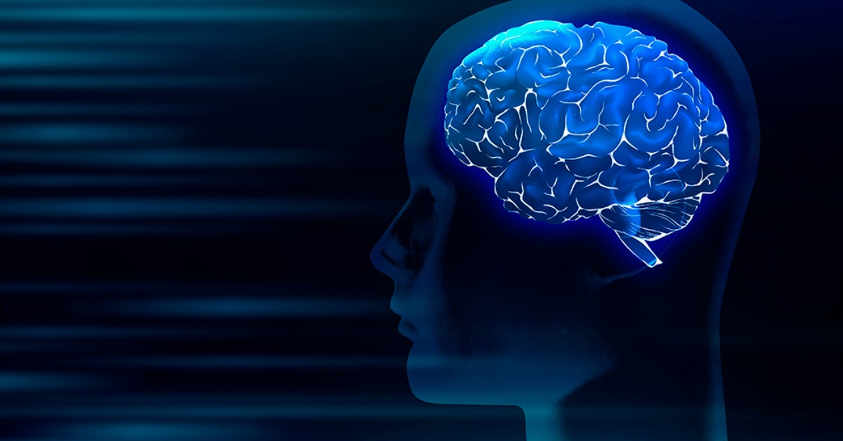 ds neurociencia