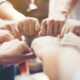 ds pamolsa