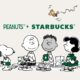 ds peanuts