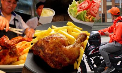 ds pollo2