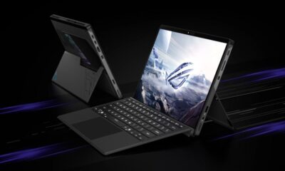 ds rog