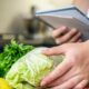 ds seguridadalimentaria