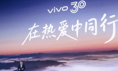 ds vivo