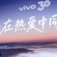 ds vivo