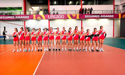 ds voley