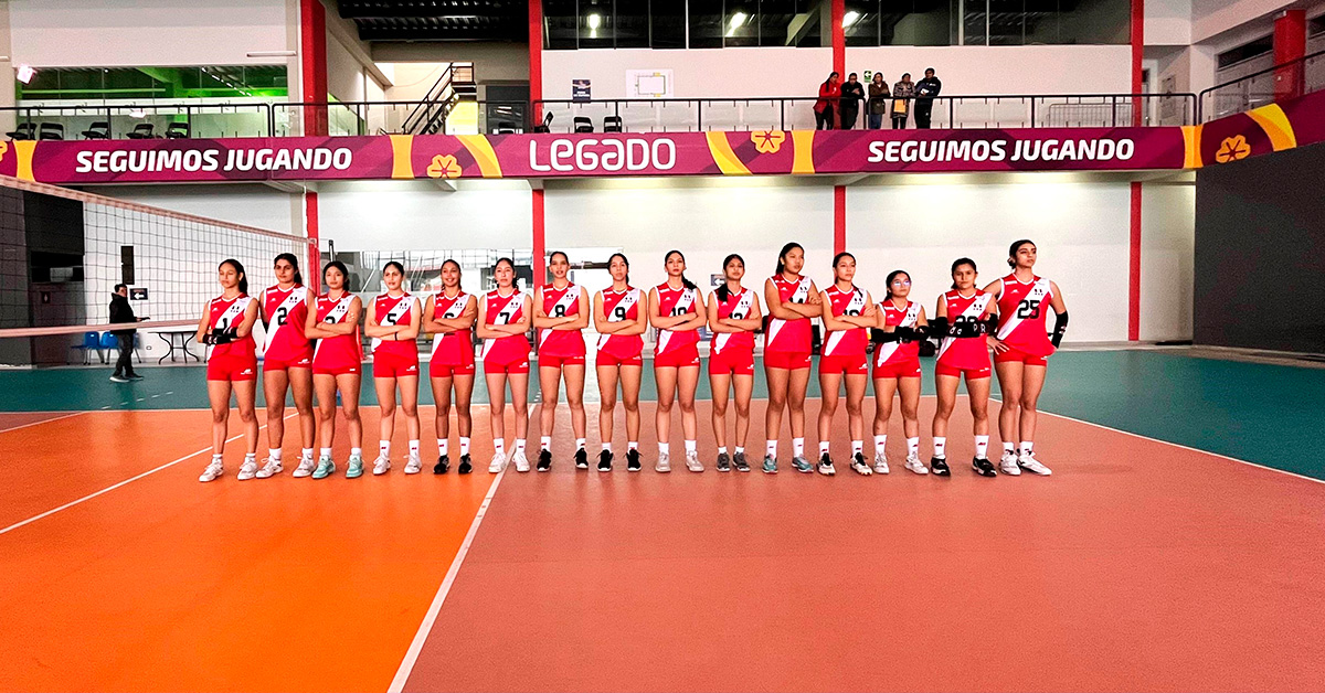 ds voley