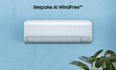 ds windfree