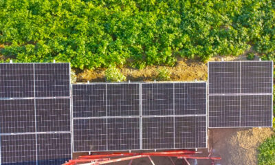 entel solar