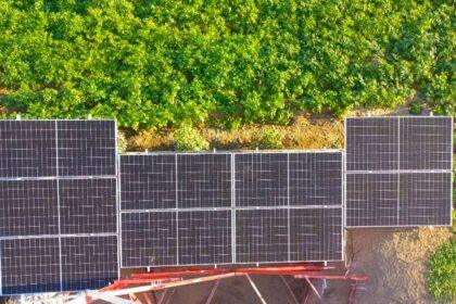 entel solar