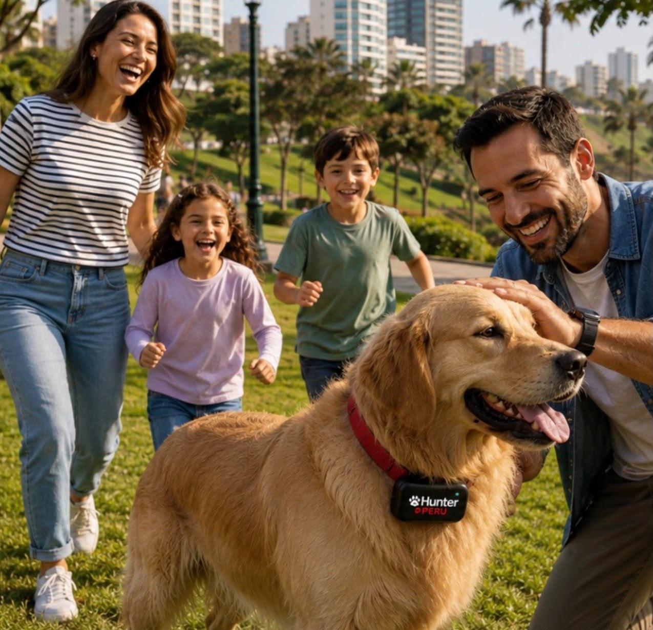 Guía práctica para encontrar a tu perro si se pierde