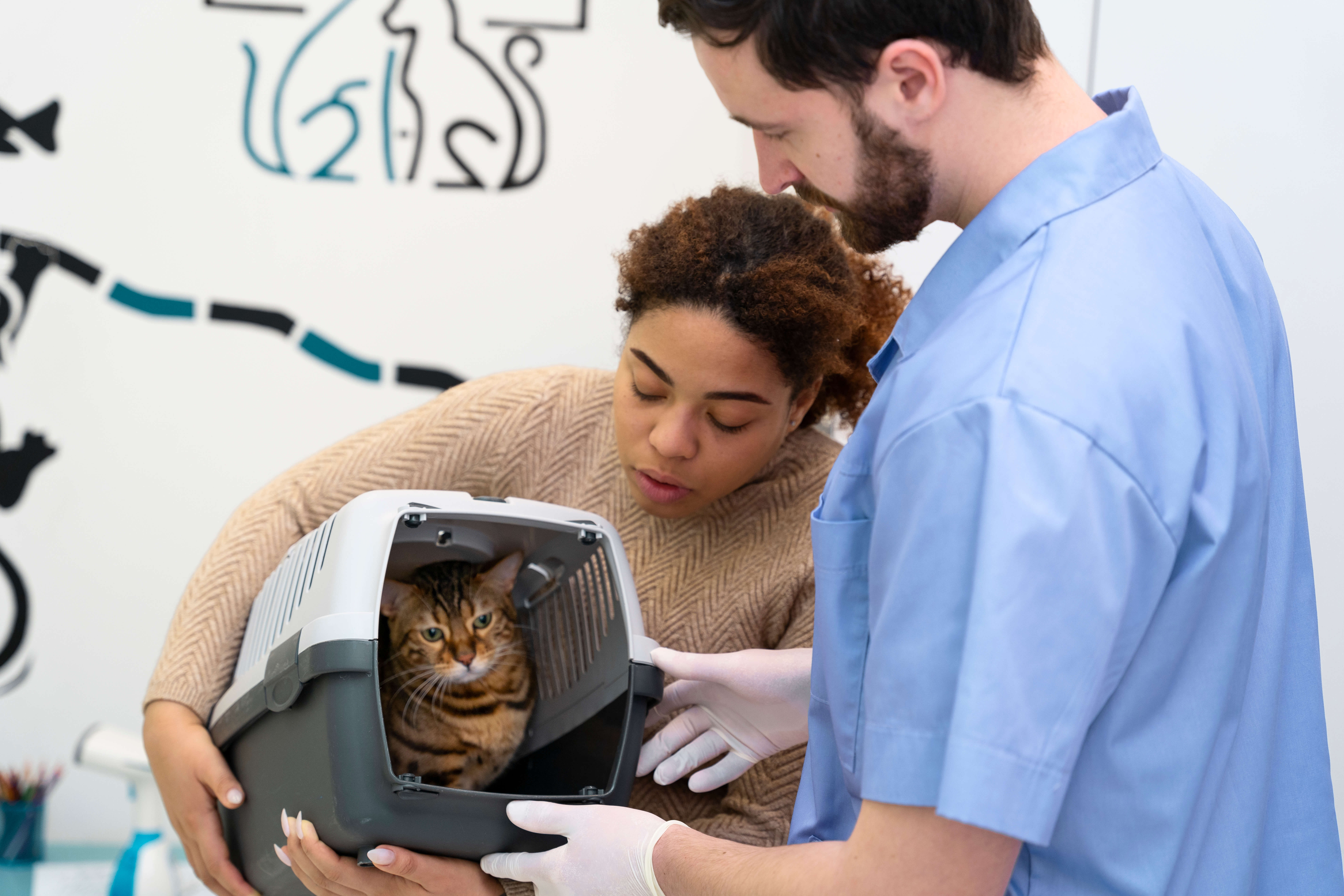labor vet