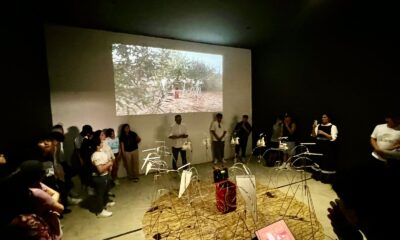 muestra retorno 1