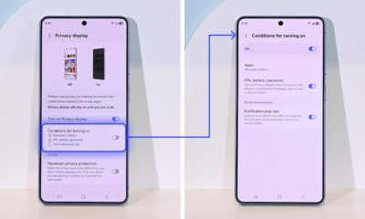 privacy display