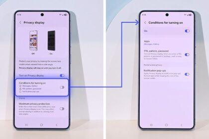 privacy display