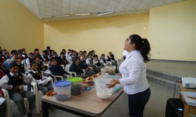 sostenibilidad talleres