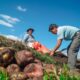 u agricultura