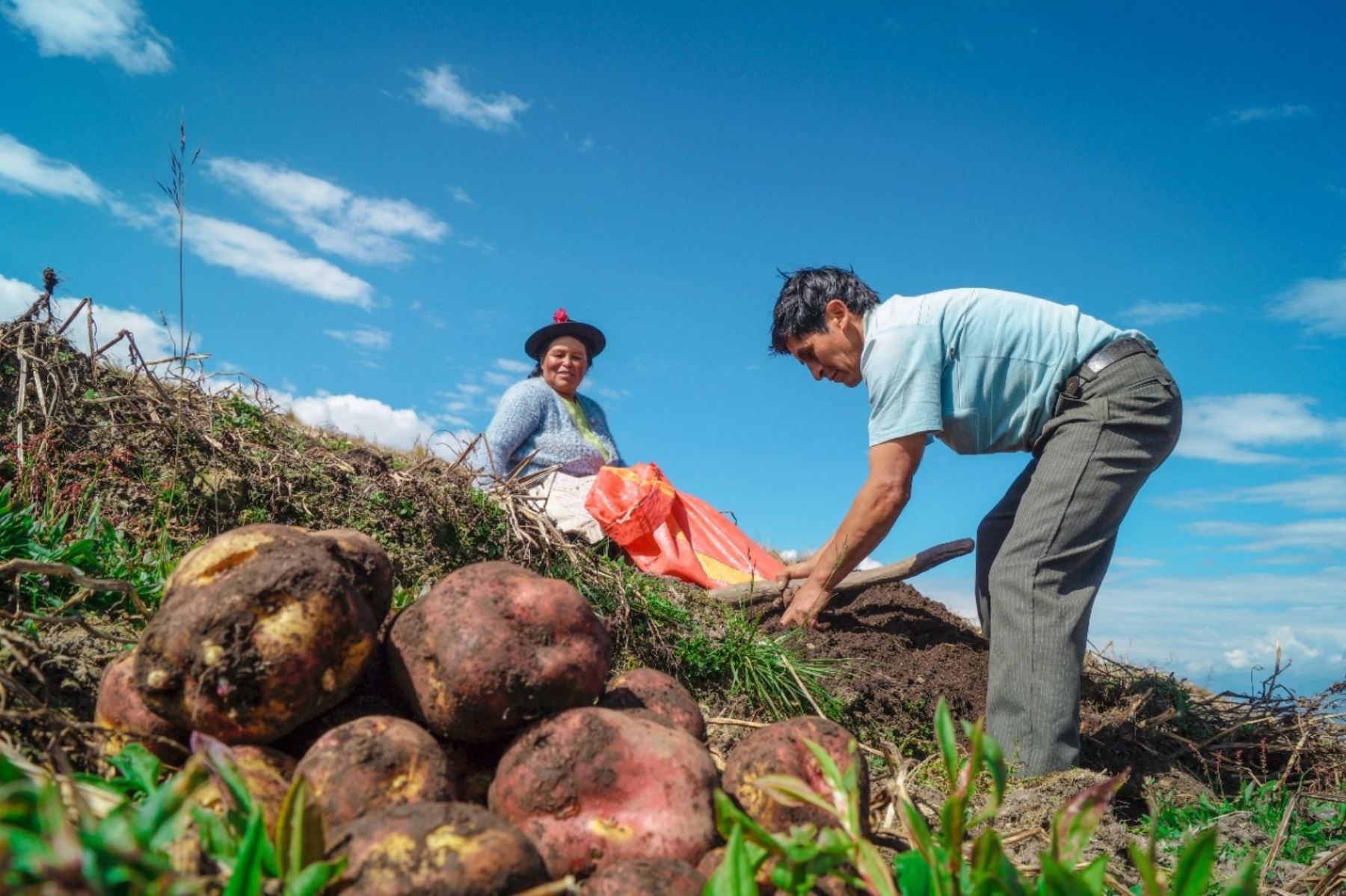 u agricultura