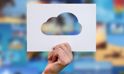 zoom cloud