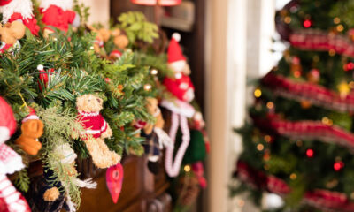 zoom navidad 1