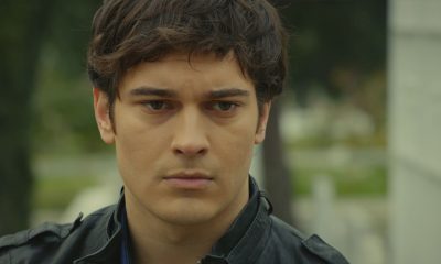 zoom novela